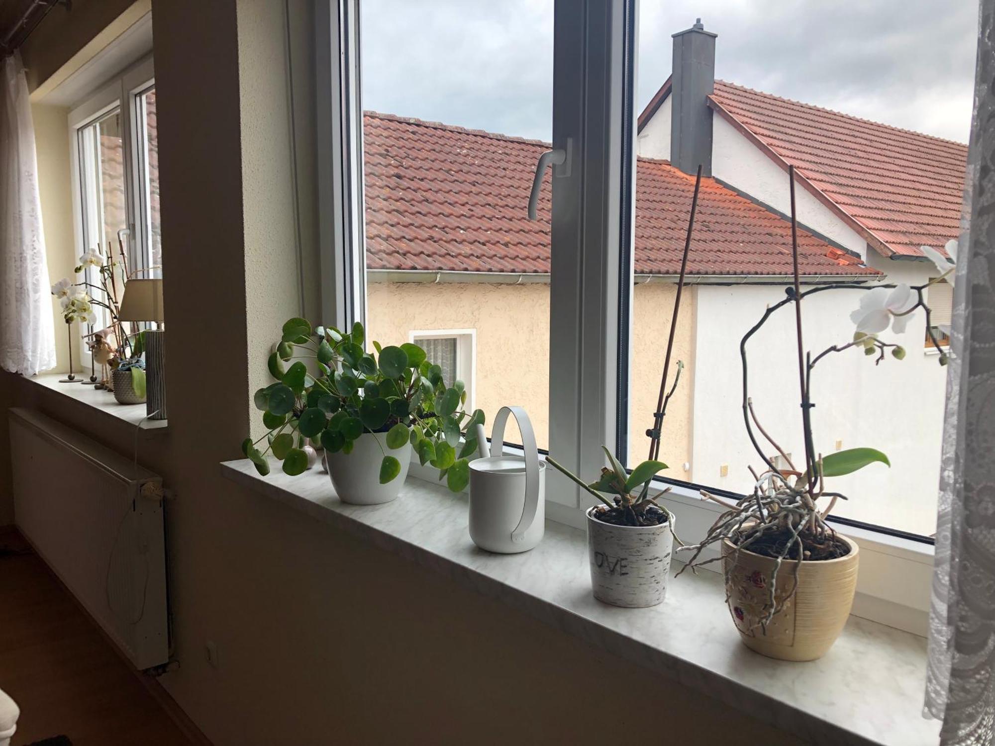 Ferienwohnung Am Gruenen Band Hellingen Экстерьер фото
