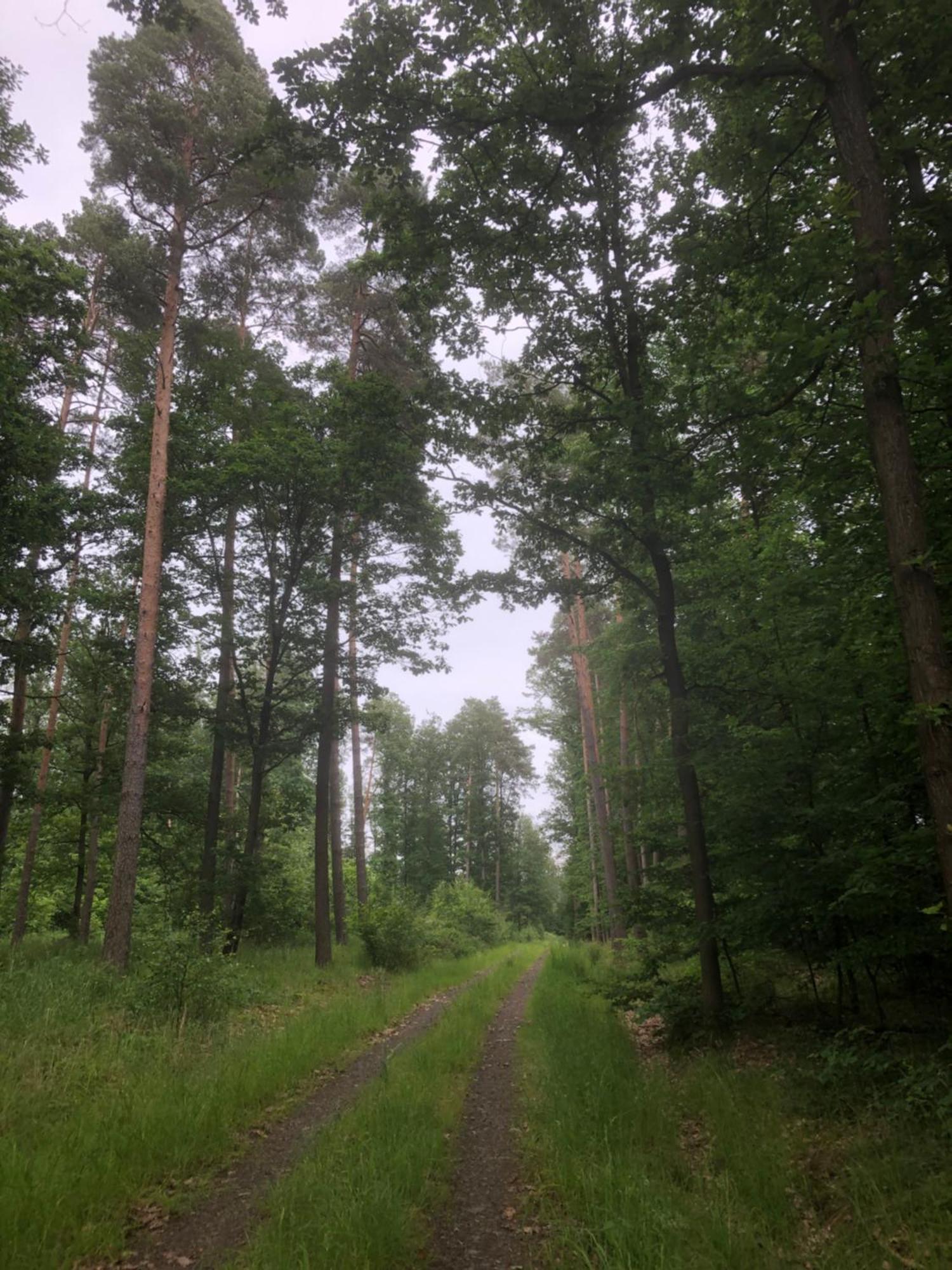Ferienwohnung Am Gruenen Band Hellingen Экстерьер фото